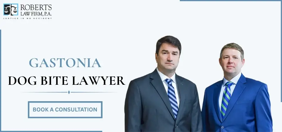 Gastonia Dog Bite Lawyer-img