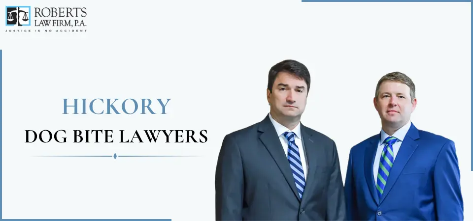Hickory Dog Bite Lawyer-img