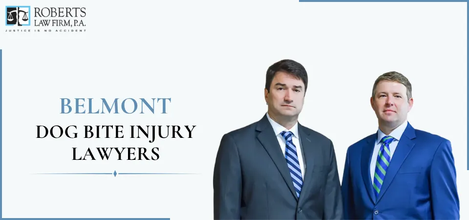 Belmont Dog Bite Lawyer-img
